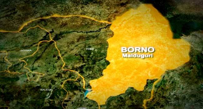 Allied health professionals cry out over exclusion from CONHESS in Borno